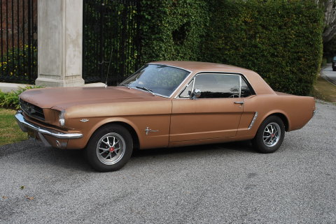 Mustang